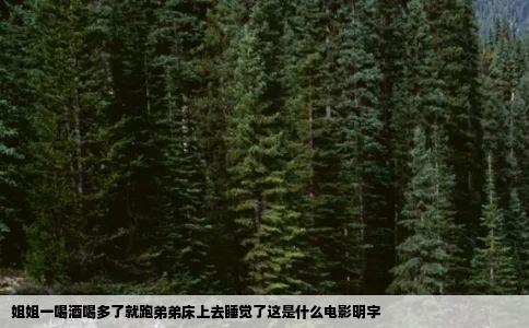 姐姐一喝酒喝多了就跑弟弟床上去睡觉了这是什么电影明字