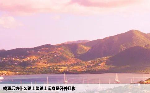 戒酒后为什么晚上整晚上浑身是汗并且似