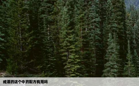 戒酒药这个中药配方有用吗