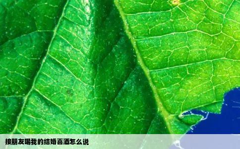 接朋友喝我的结婚喜酒怎么说