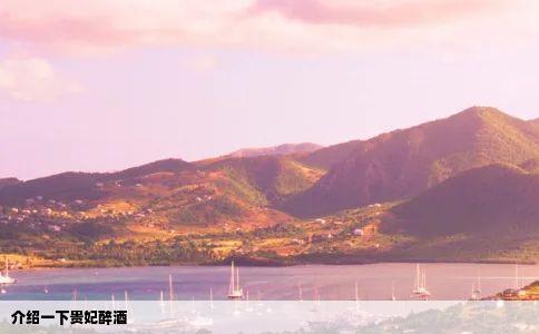 介绍一下贵妃醉酒