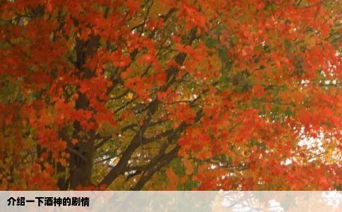 介绍一下酒神的剧情