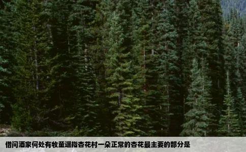 借问酒家何处有牧童遥指杏花村一朵正常的杏花最主要的部分是