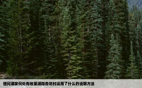 借问酒家何处有牧童遥指杏花村运用了什么的说明方法