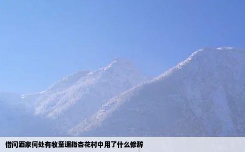 借问酒家何处有牧童遥指杏花村中用了什么修辞