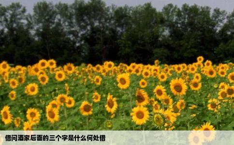 借问酒家后面的三个字是什么何处借