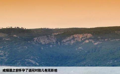 戒烟酒之前怀孕了请问对胎儿有无影响