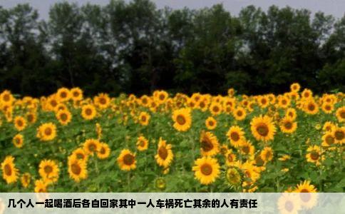 几个人一起喝酒后各自回家其中一人车祸死亡其余的人有责任