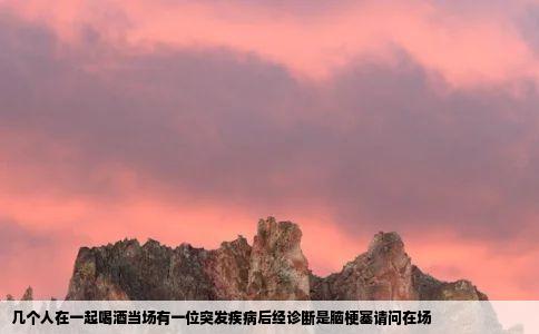 几个人在一起喝酒当场有一位突发疾病后经诊断是脑梗塞请问在场