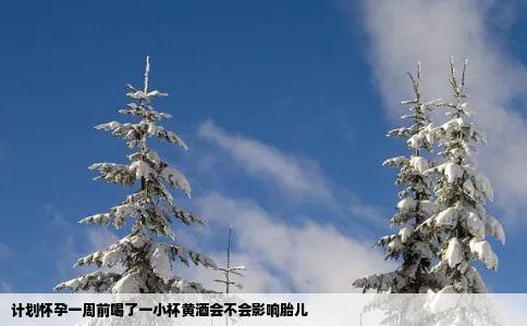 计划怀孕一周前喝了一小杯黄酒会不会影响胎儿