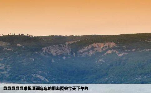 急急急急急求祝酒词麻麻的朋友聚会今天下午的