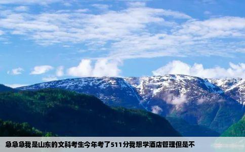 急急急我是山东的文科考生今年考了511分我想学酒店管理但是不