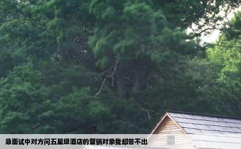 急面试中对方问五星级酒店的营销对象我却答不出