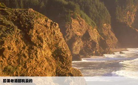 即墨老酒那有卖的