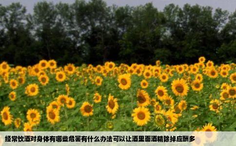 经常饮酒对身体有哪些危害有什么办法可以让酒里面酒精除掉应酬多