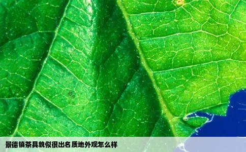 景德镇茶具貌似很出名质地外观怎么样