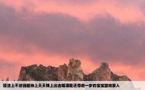 经济上不给钱精神上天天晚上出去喝酒我还带着一岁的宝宝跟她家人