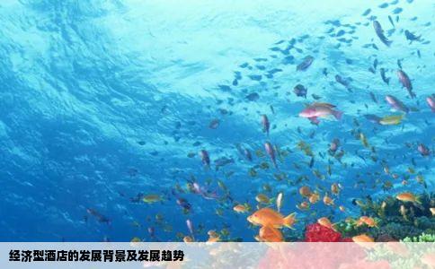 经济型酒店的发展背景及发展趋势