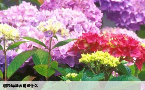 敬领导酒要说些什么