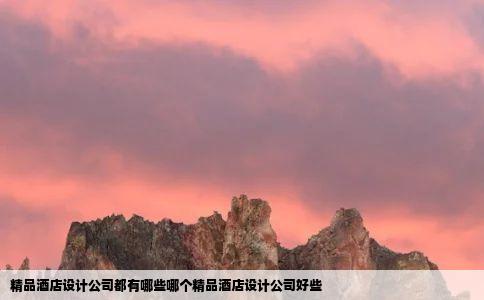 精品酒店设计公司都有哪些哪个精品酒店设计公司好些