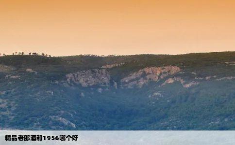 精品老郎酒和1956哪个好
