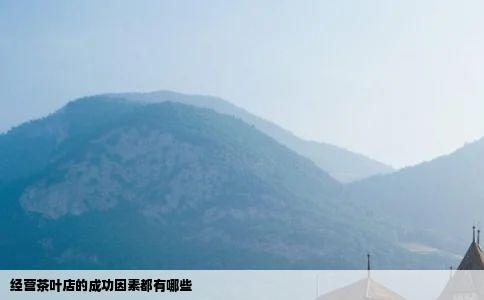 经营茶叶店的成功因素都有哪些