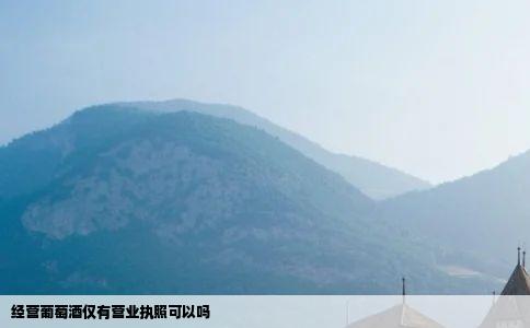 经营葡萄酒仅有营业执照可以吗