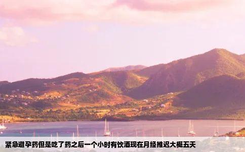 紧急避孕药但是吃了药之后一个小时有饮酒现在月经推迟大概五天