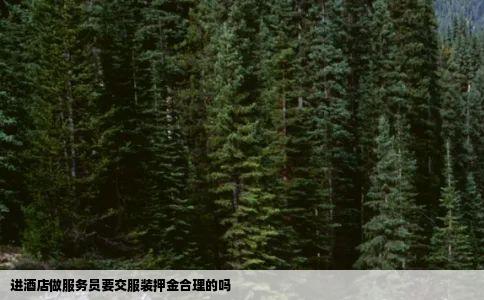 进酒店做服务员要交服装押金合理的吗