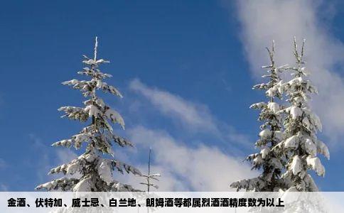 金酒、伏特加、威士忌、白兰地、朗姆酒等都属烈酒酒精度数为以上