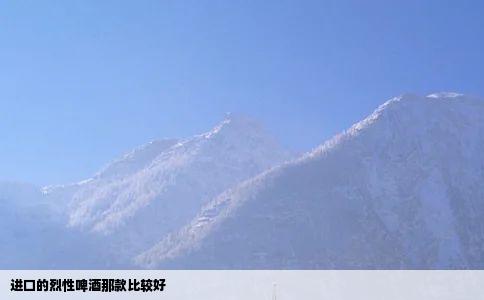进口的烈性啤酒那款比较好