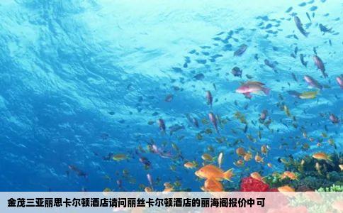 金茂三亚丽思卡尔顿酒店请问丽丝卡尔顿酒店的丽海阁报价中可