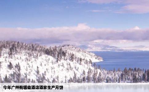 今年广州有哪些酒店酒家生产月饼