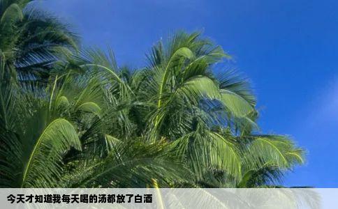今天才知道我每天喝的汤都放了白酒
