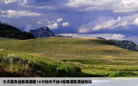 今天朋友请我喝酒我10分钟内干掉4箱啤酒我酒量如何