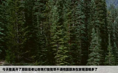 今天我离开了原因是老公昨晚打我我想不通他跟朋友在家喝酒喝多了