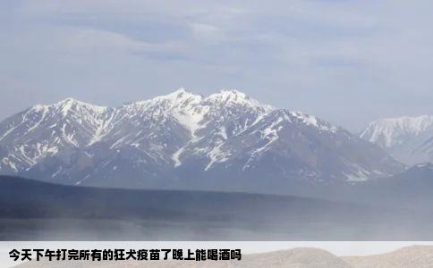 今天下午打完所有的狂犬疫苗了晚上能喝酒吗