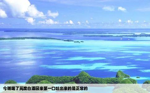 今晚喝了高度白酒回来第一口吐出来的是正常的