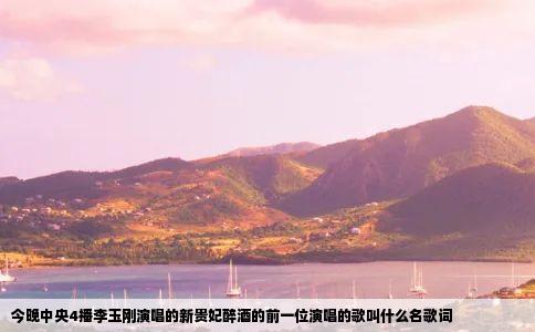 今晚中央4播李玉刚演唱的新贵妃醉酒的前一位演唱的歌叫什么名歌词