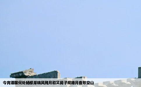 今宵酒醒何处杨柳岸晓风残月和又闻子规啼月夜愁空山