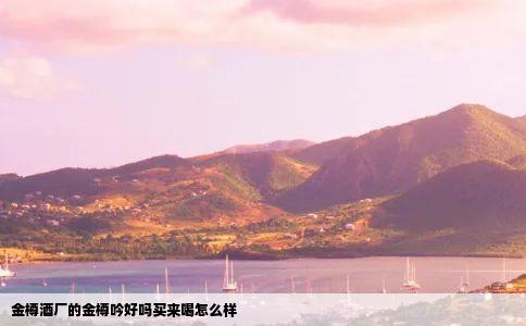 金樽酒厂的金樽吟好吗买来喝怎么样