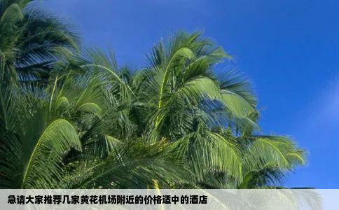 急请大家推荐几家黄花机场附近的价格适中的酒店