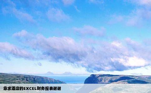 急求酒店的EXCEL财务报表谢谢