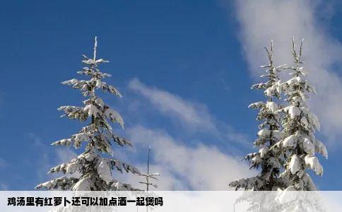 鸡汤里有红萝卜还可以加点酒一起煲吗