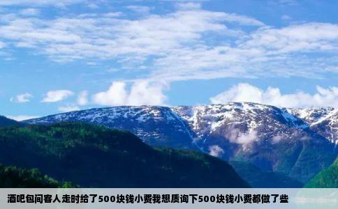 酒吧包间客人走时给了500块钱小费我想质询下500块钱小费都做了些