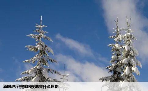 酒吧迪厅慢摇吧夜总会什么区别