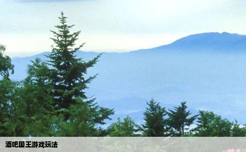 酒吧国王游戏玩法