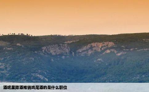 酒吧里陪酒推销鸡尾酒的是什么职位