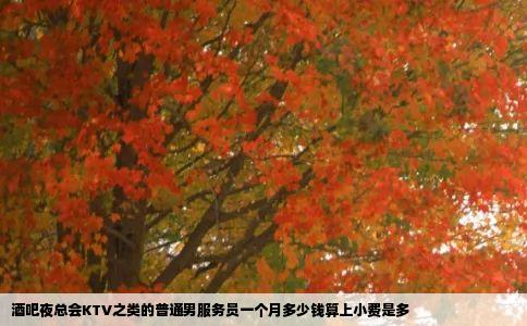 酒吧夜总会KTV之类的普通男服务员一个月多少钱算上小费是多