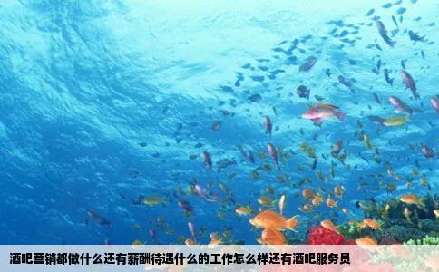 酒吧营销都做什么还有薪酬待遇什么的工作怎么样还有酒吧服务员